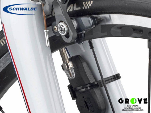 SCHWALBE シュワルベ ［ サイコン用マグネット バルブキャップ